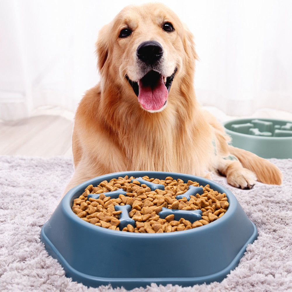 JASGOOD Slow Feeder Dogs Bowl for Large Dogs,Anti-Gulping Pet