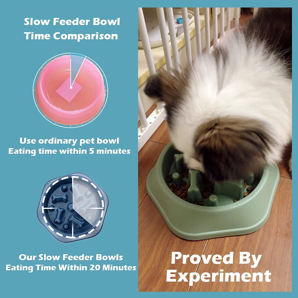 Feelers Dog Slow Feeder Bowl, Anti-Gulping Pet Slower Feeding